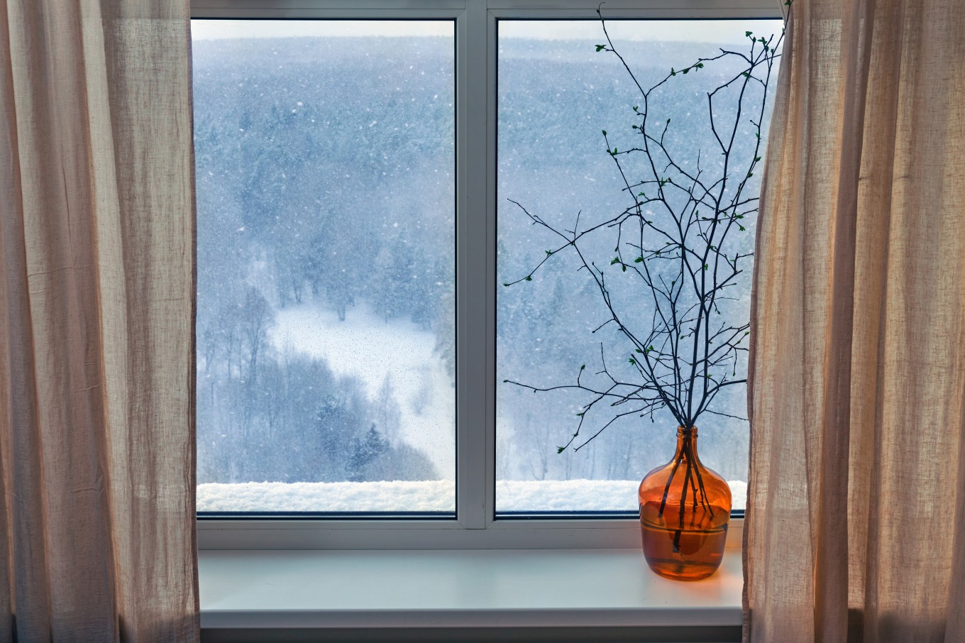 Branches of a tree stand in a vase in front of a drafty window in the winter.