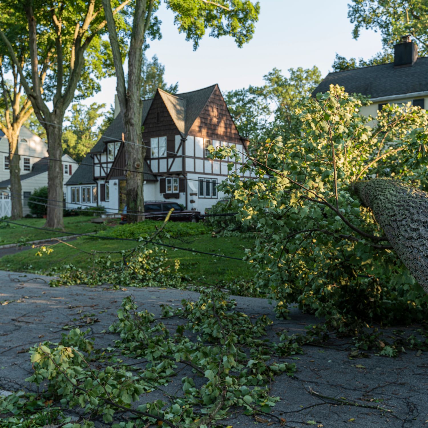 A fallen tree is pushing down power lines and blocking the entire street of a small town after a storm.