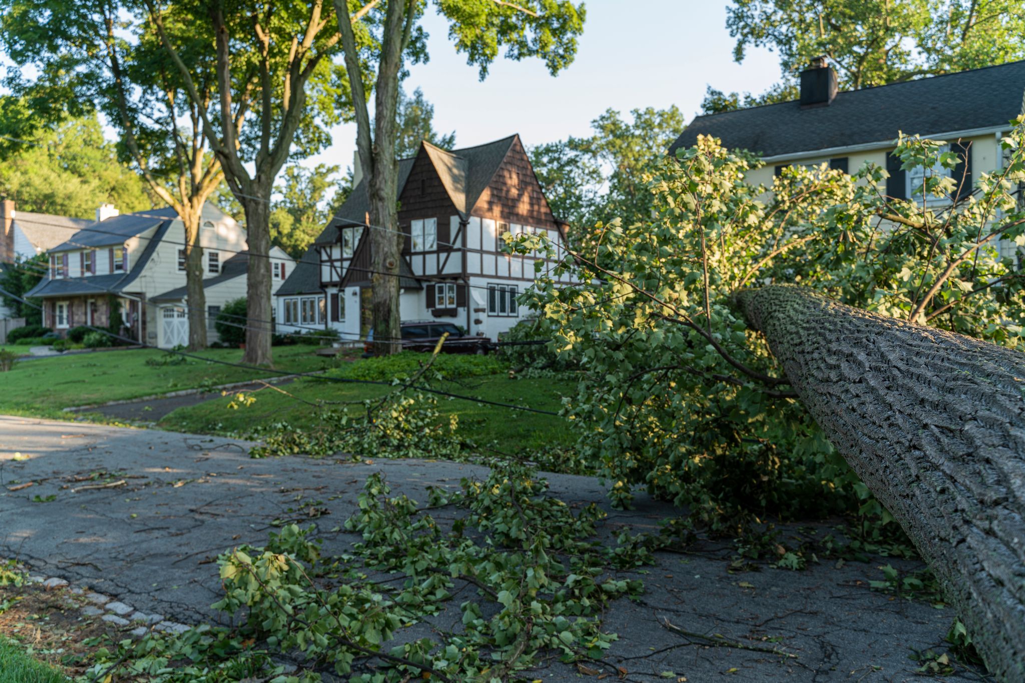 A fallen tree is pushing down power lines and blocking the entire street of a small town after a storm.