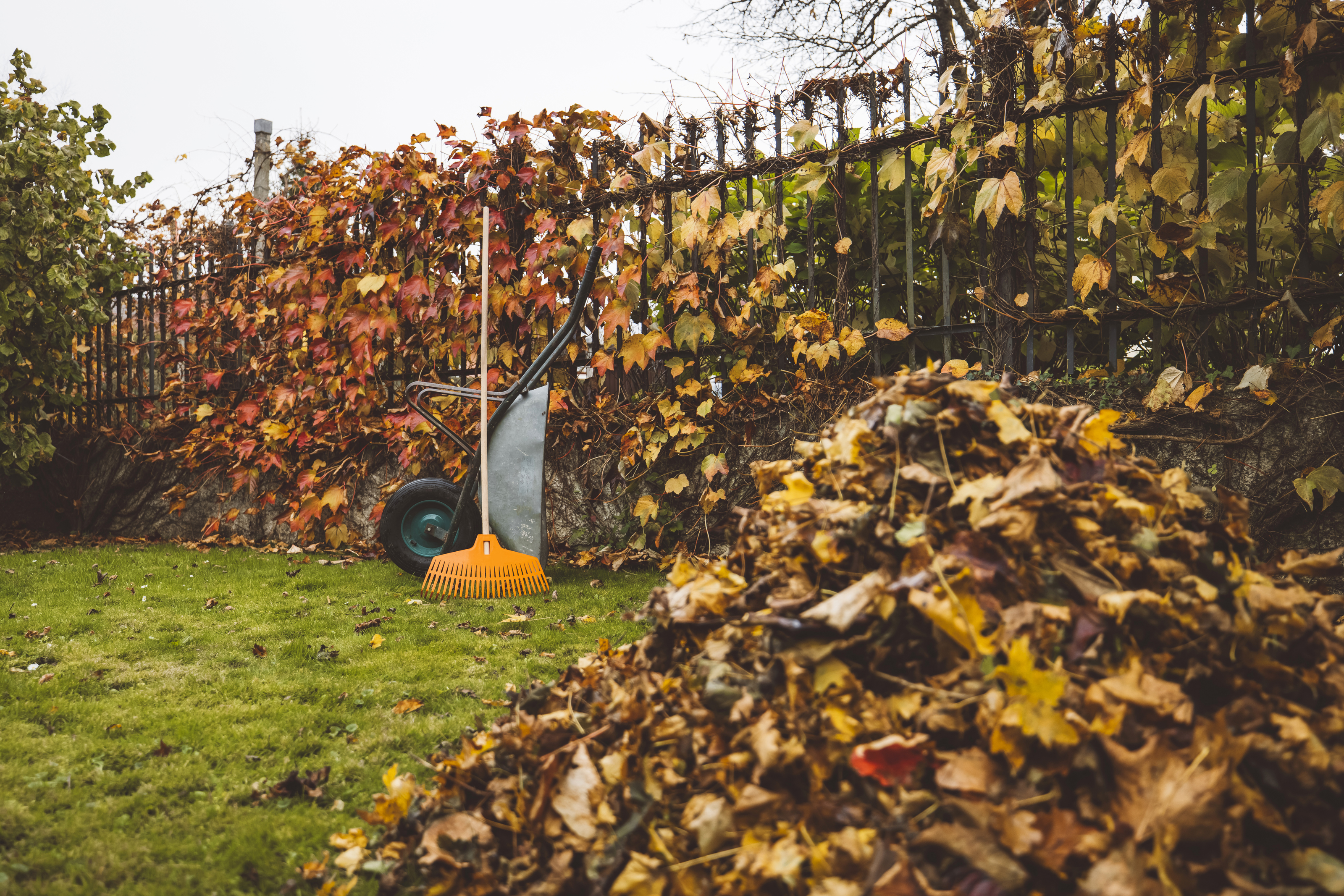 Optional Methods for Leaf Disposal