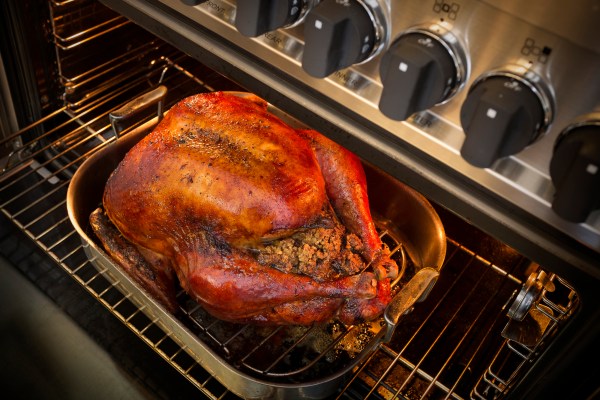 A roasted turkey in an open oven for a Thanksgiving meal.