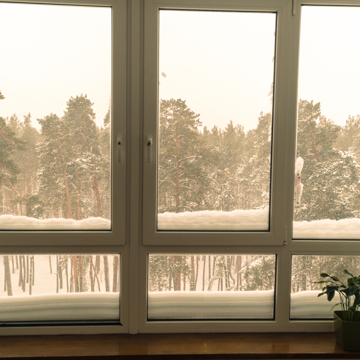 A well insulated window with a view of a forest in Winter.