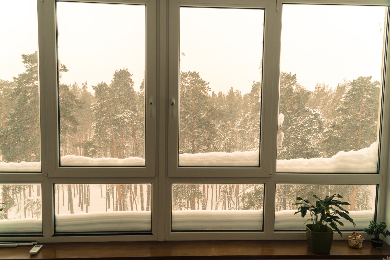 A well insulated window with a view of a forest in Winter.