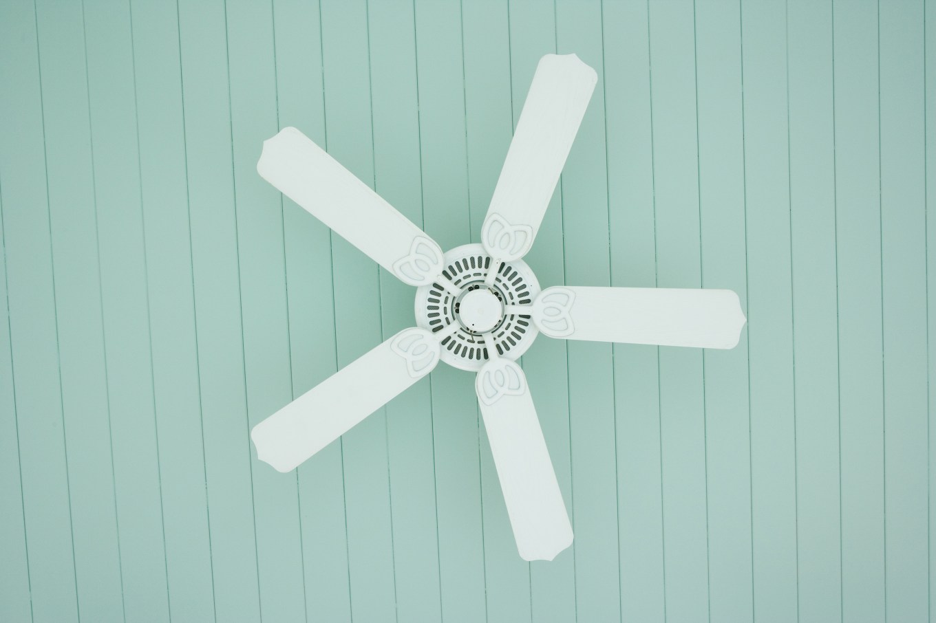 A white ceiling fan, not moving, on a green ceiling.