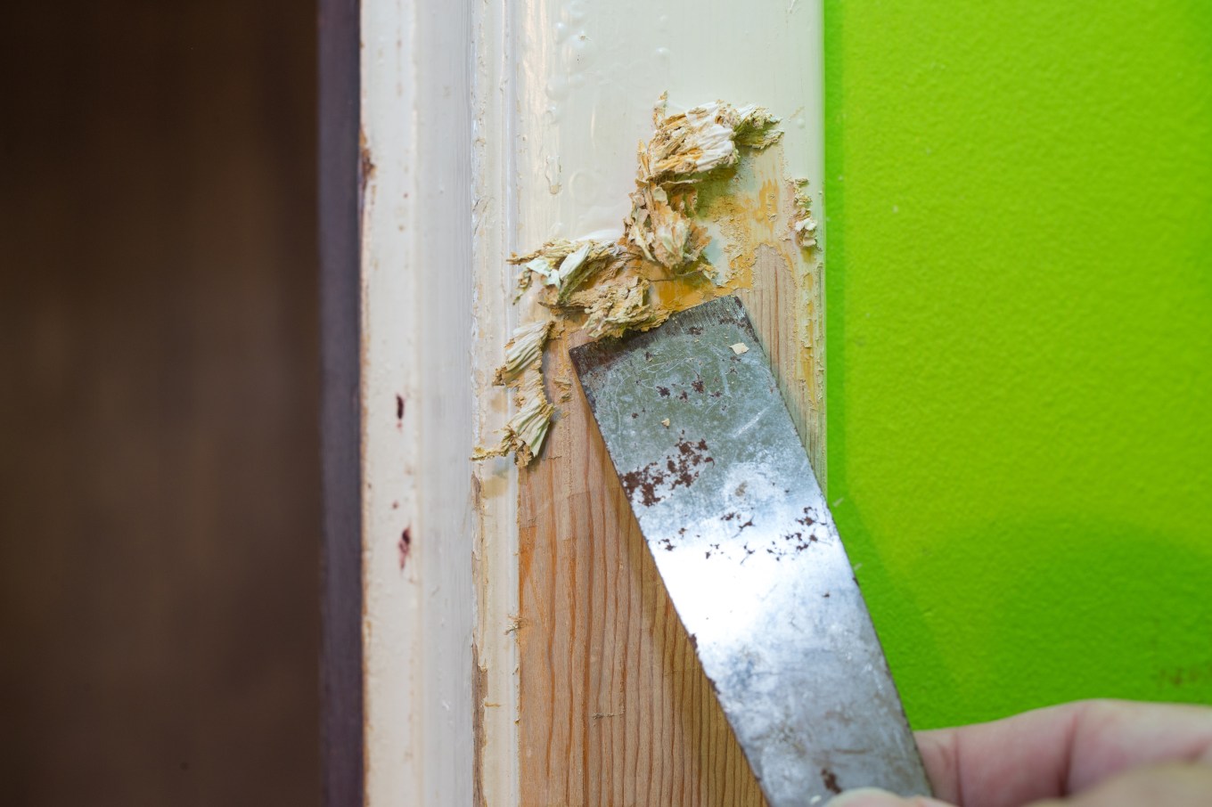 Removing layers of white paint on a frame next to a green wall.