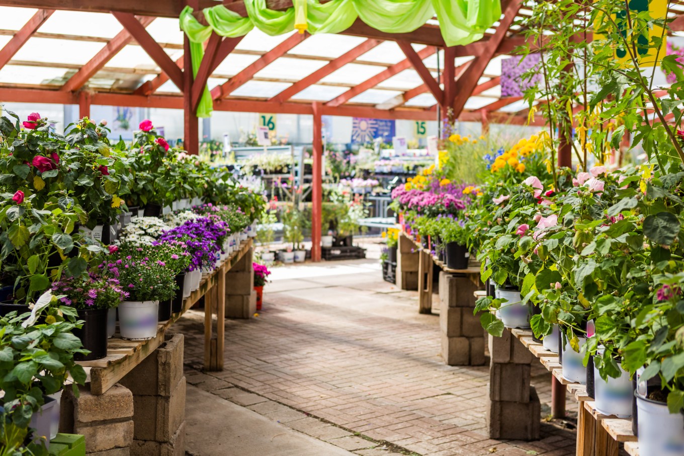 Plants in pots displayed in rows with a roof.