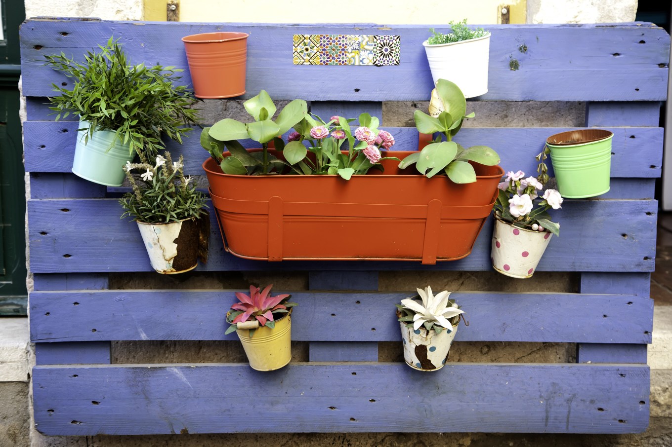 Pots with plants on the street, decoration detail and plants