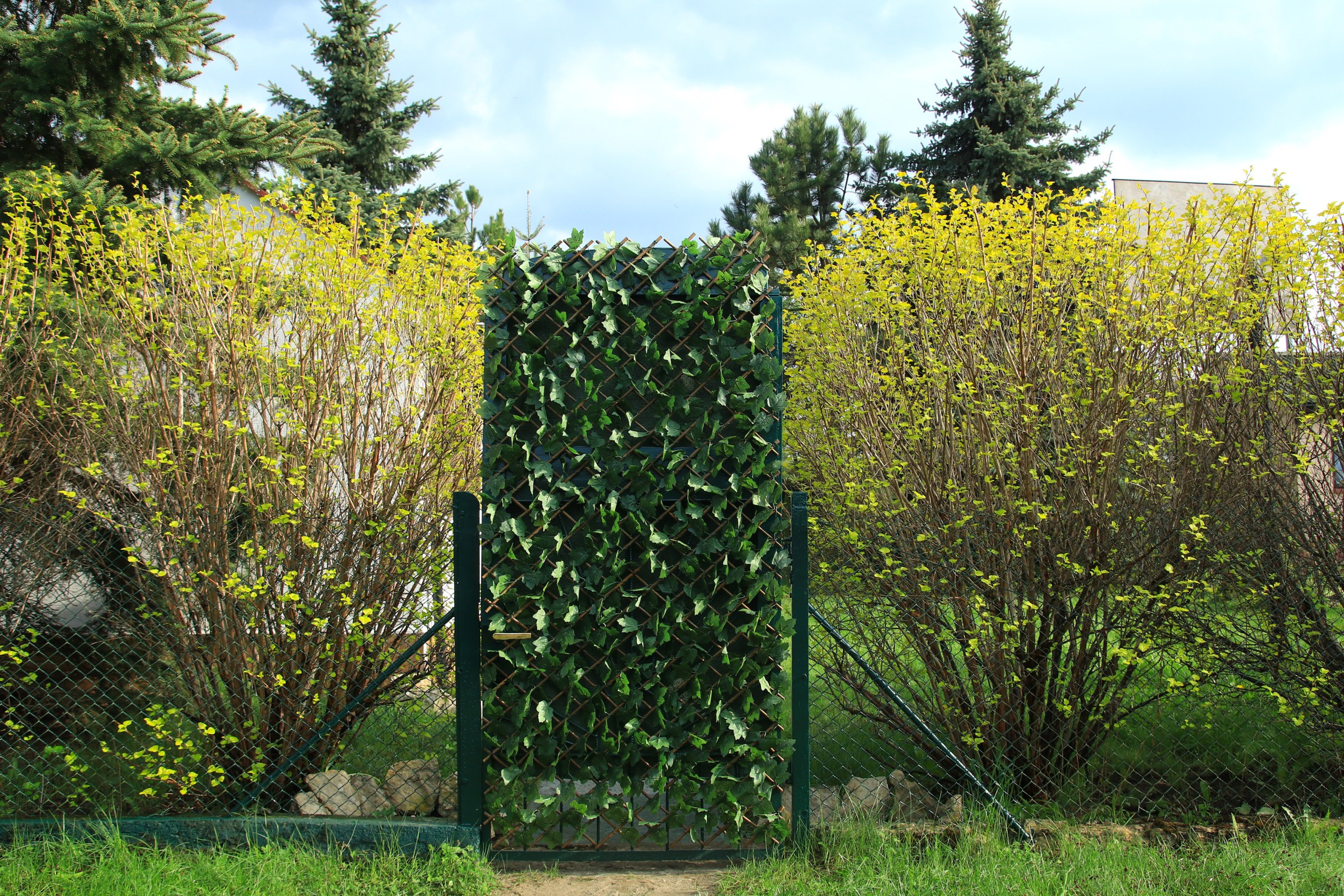 Greenery panel on a fence blocking the backyard from view