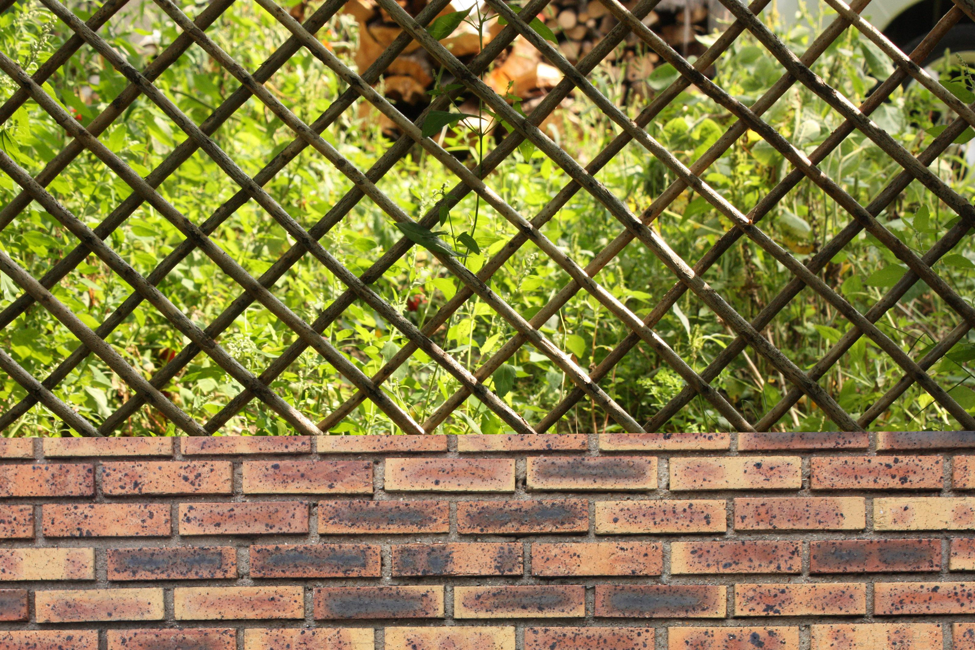 Fence consisting of a low brick wall and a trellis of wooden braces Enclosed garden