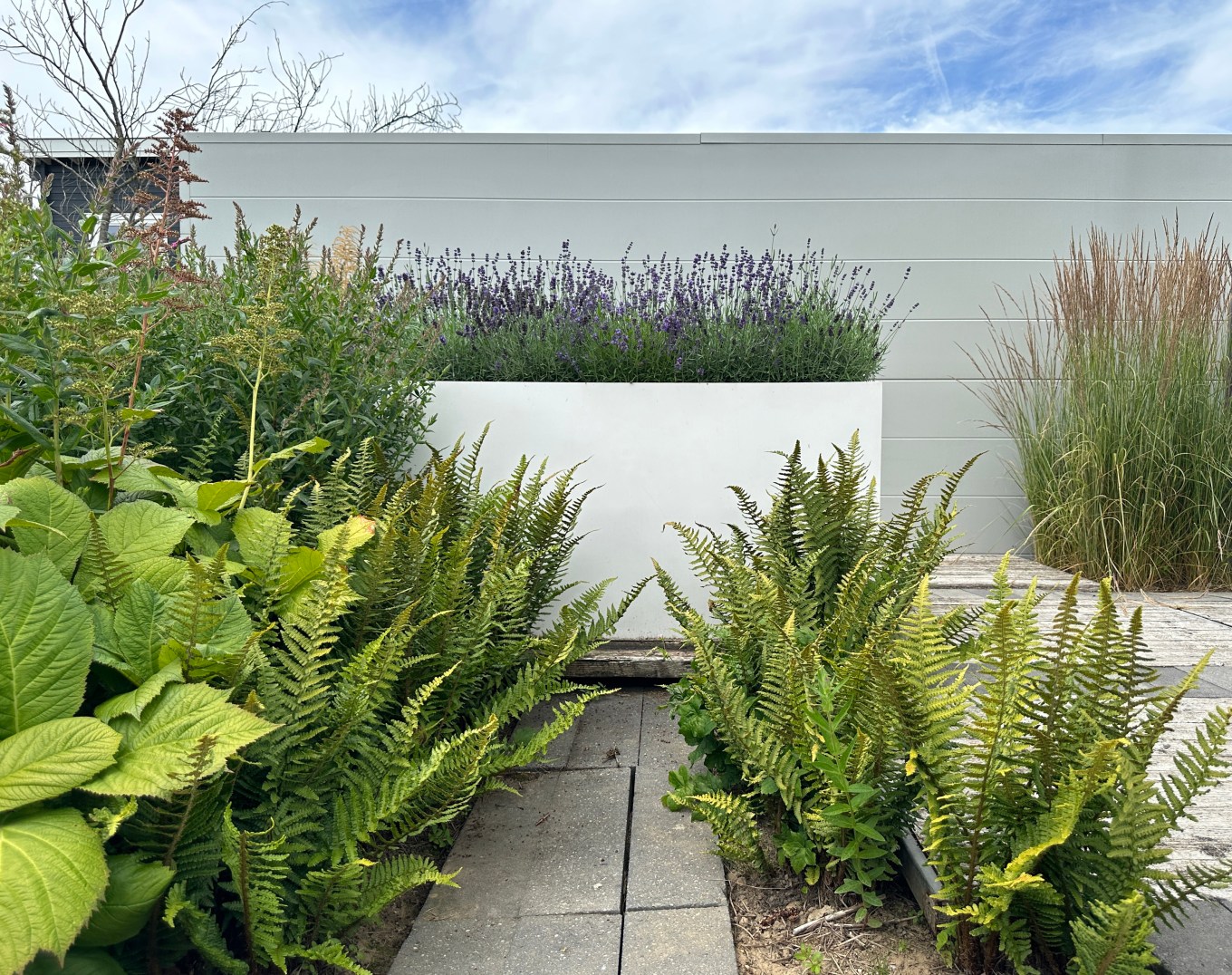 Tall plants and planters mixing to add privacy to a seating area.