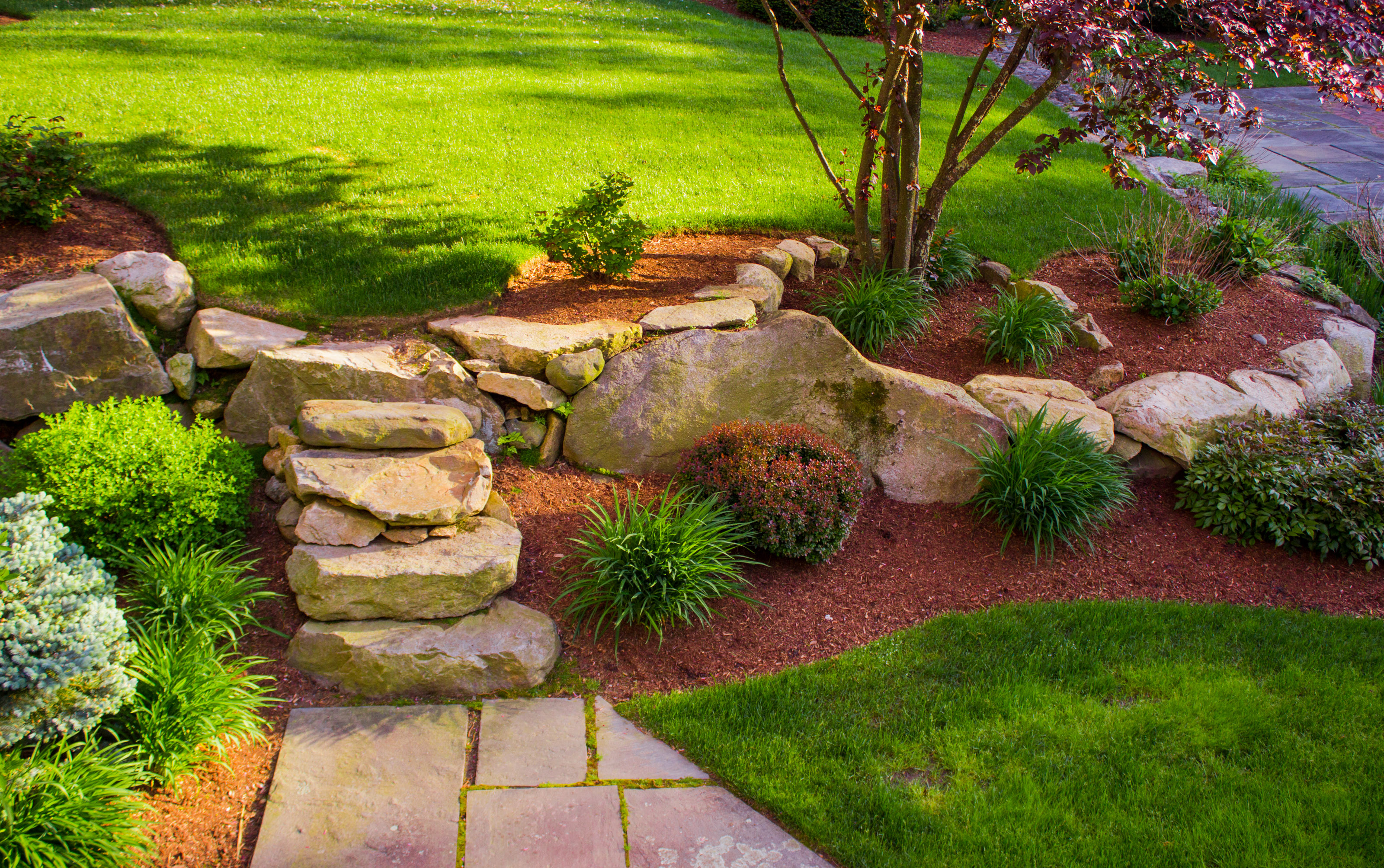A backyard with a rock wall and rock stairs with a red tree on top.