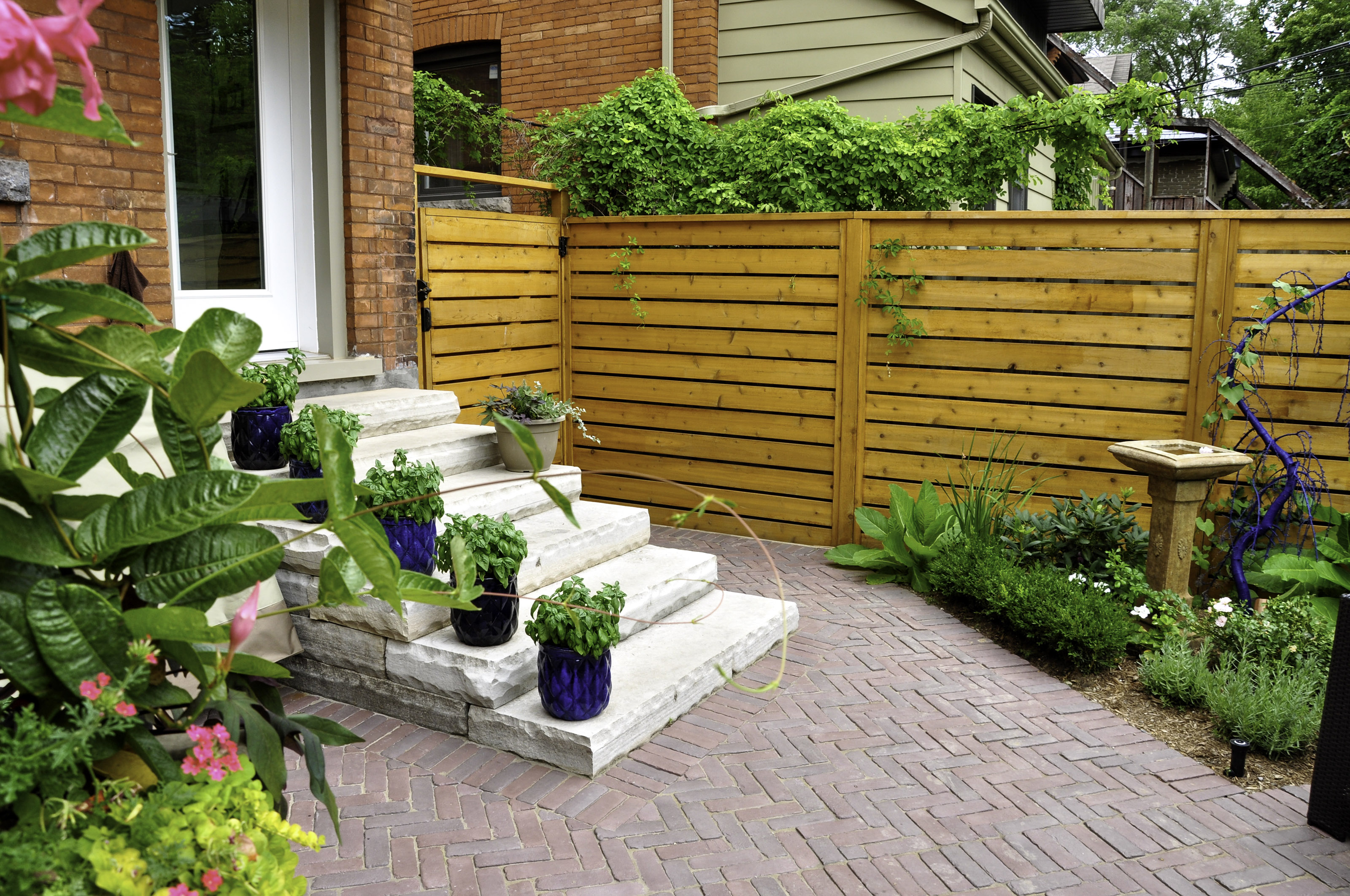 Horizontal cedar privacy fence in a bright and flowering backyard.