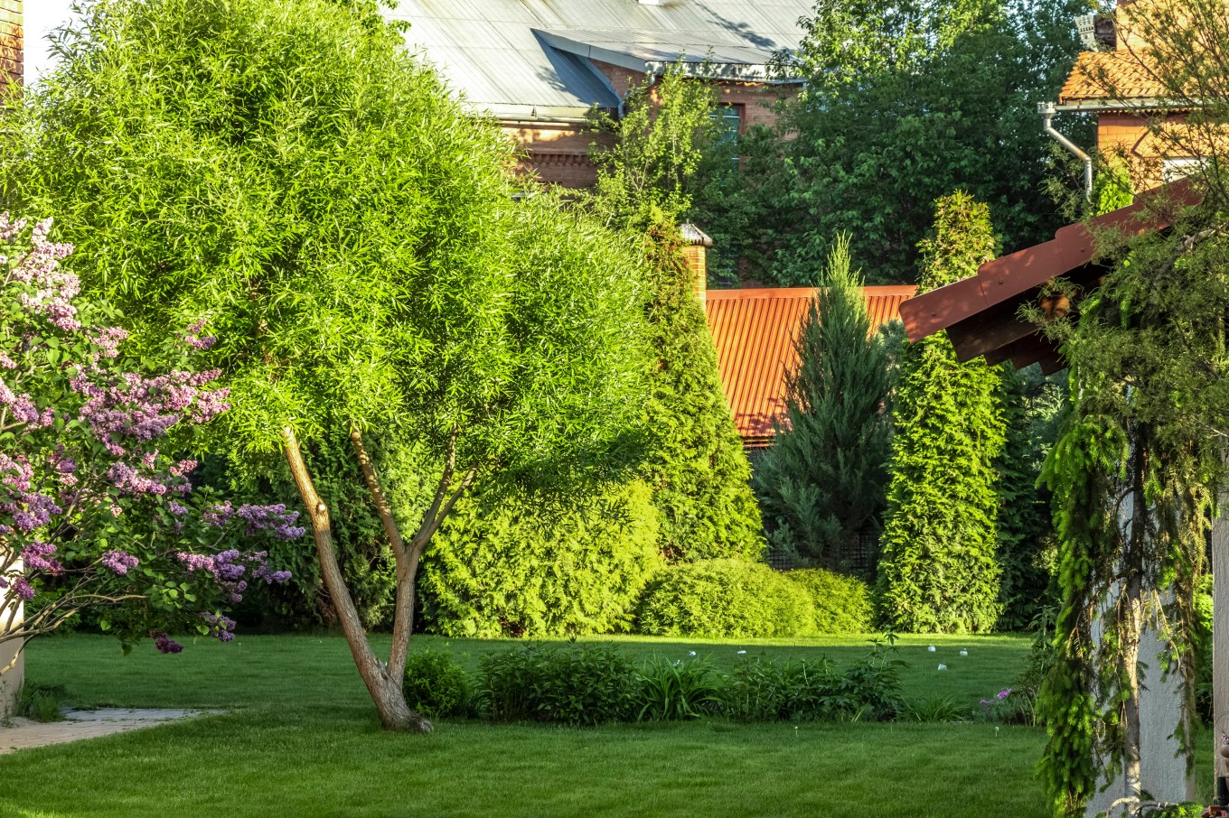 Trees and plants in a backyard bring privacy to your deck.