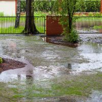 A muddy backyard with puddles exemplifying the need for a French drain system.