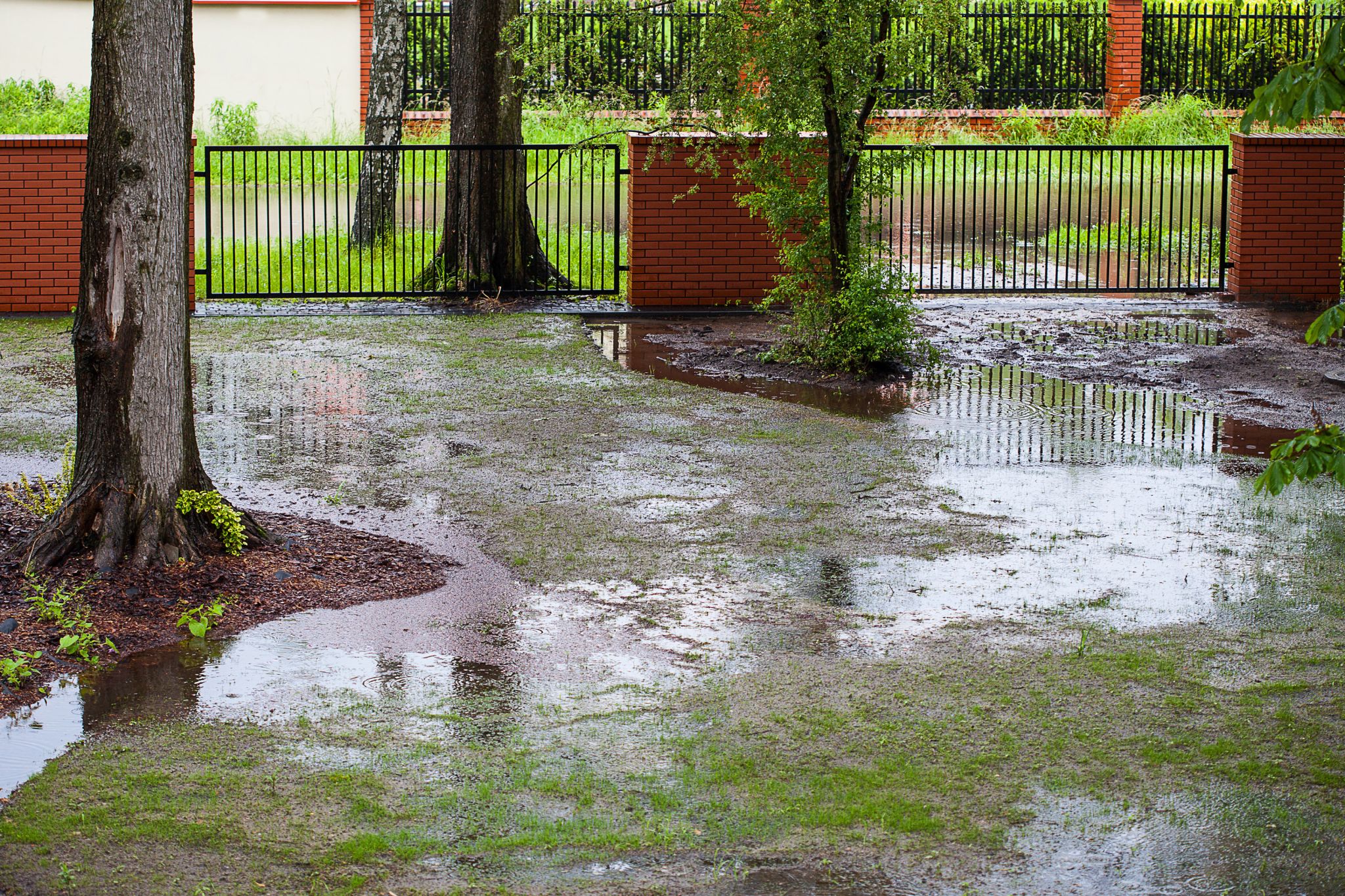 A muddy backyard with puddles exemplifying the need for a French drain system.