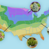 A map of the United States with plant zones shown via different coloring and a few example plants