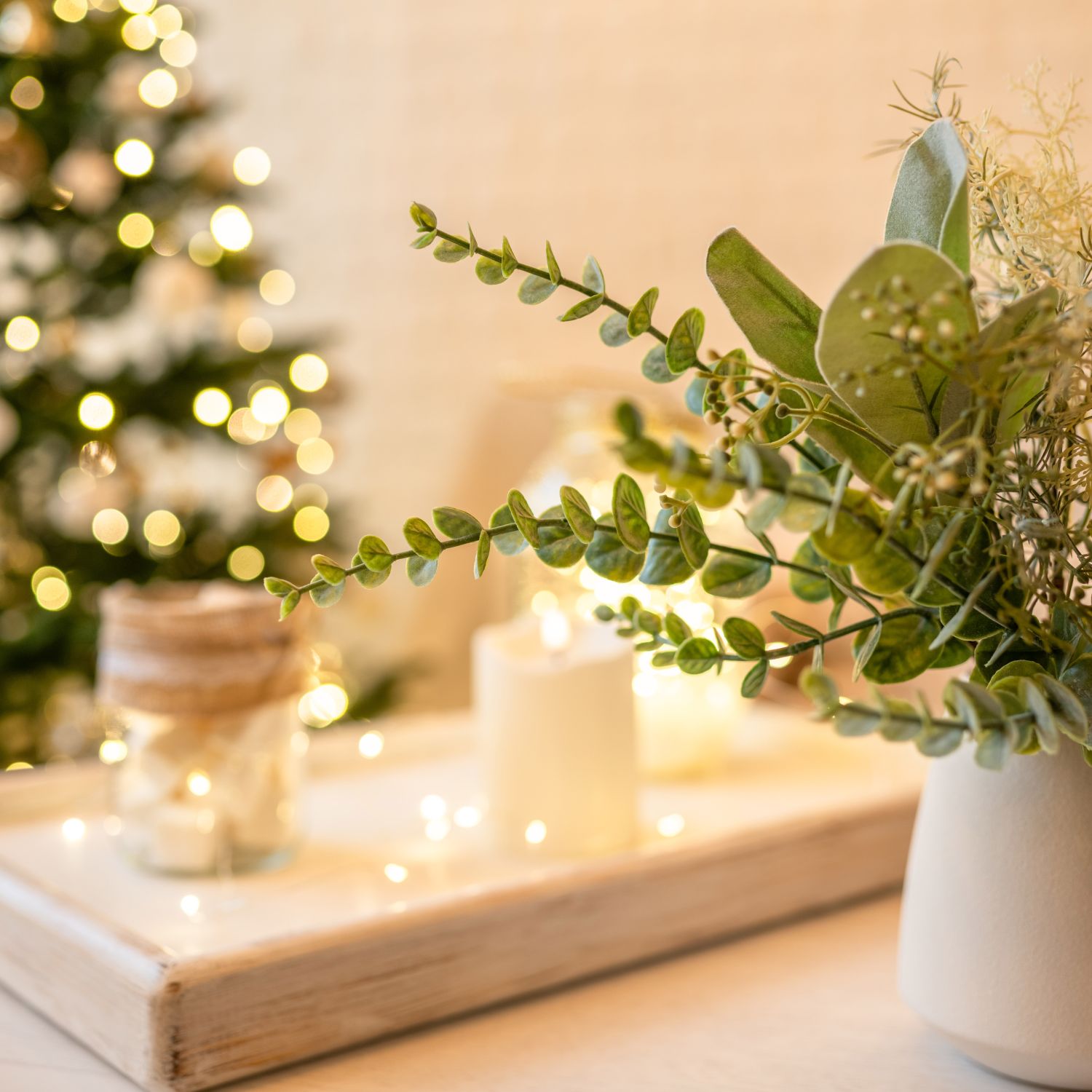 Some beautiful eucalyptus branches accompany a Christmas tree for an example of how one can use holiday plants.