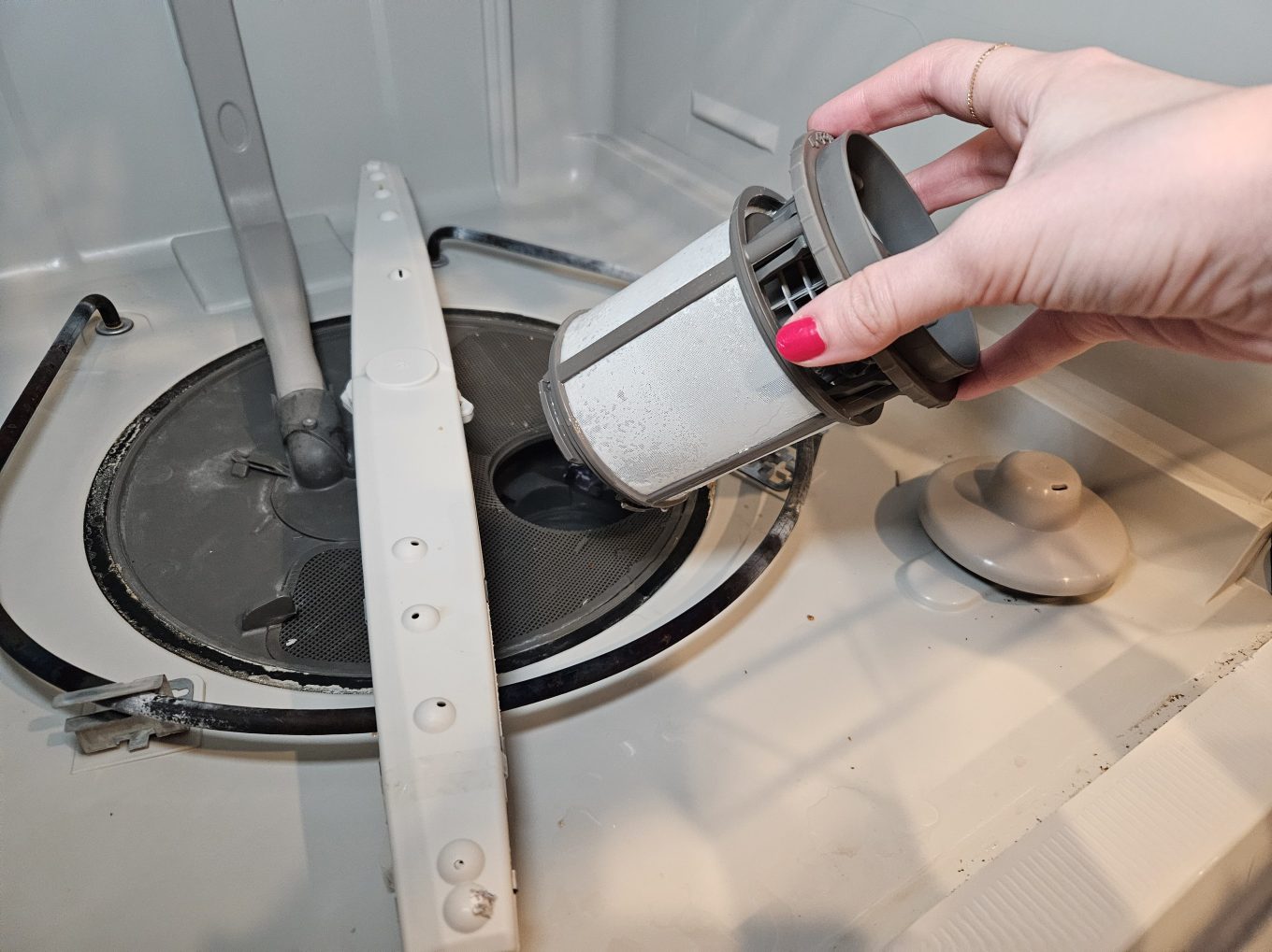 A dishwasher filter being removed for cleaning.