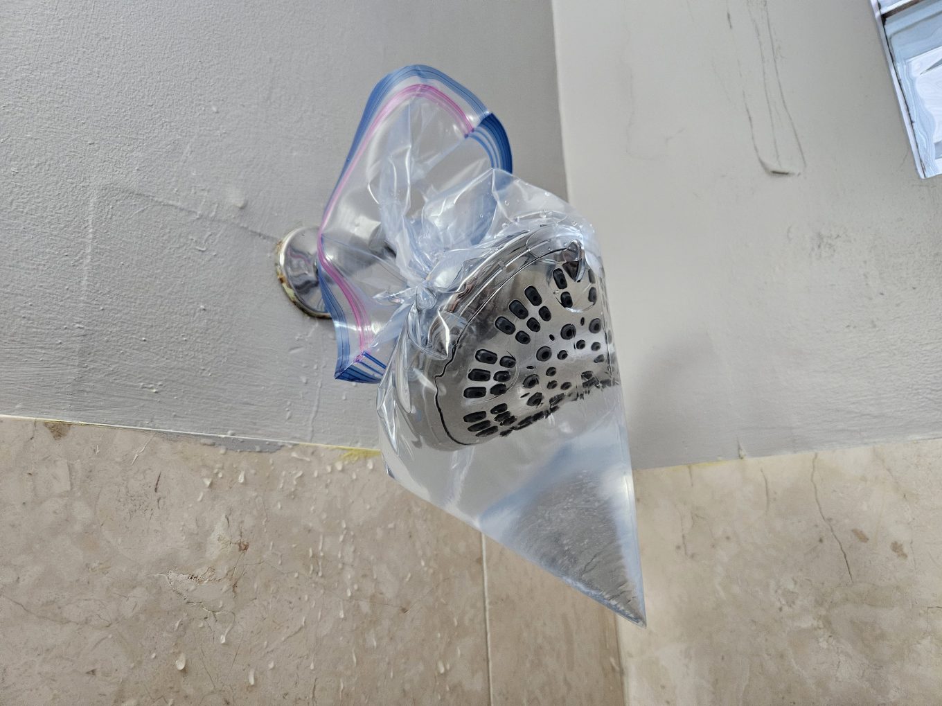 A shower head being soaked in vinegar to remove limescale.