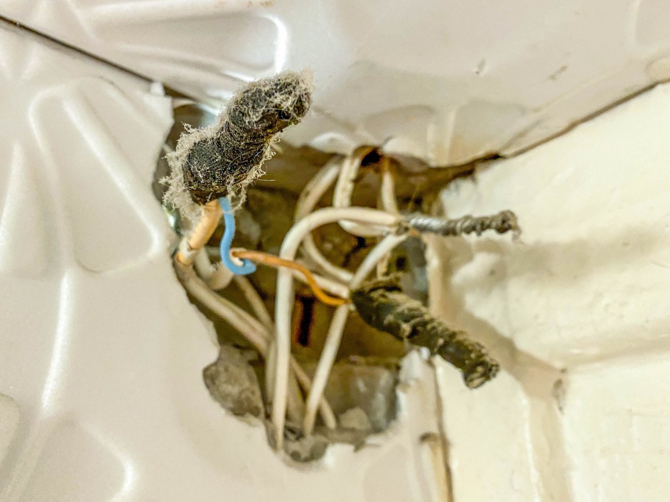 Electrical wires protruding from a hole in the wall presenting a possible fire risk.