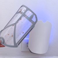 An example of a trap for bugs that can help get rid of bugs in the house.