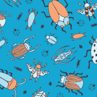 Graphic showing bugs that you'll want to keep out of your house.