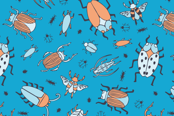 Graphic showing bugs that you'll want to keep out of your house.