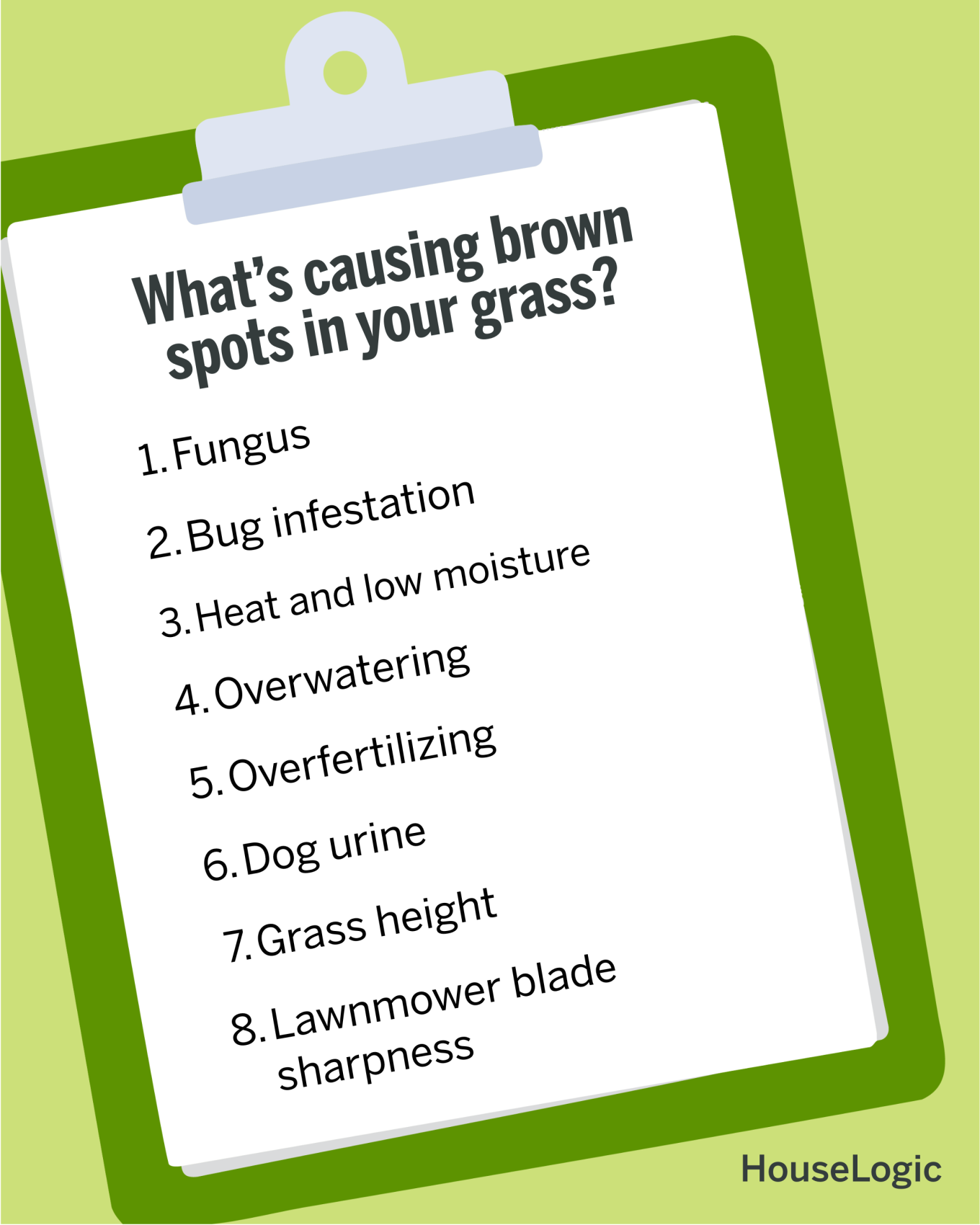 An infographic looking at what causes brown spots in grass.