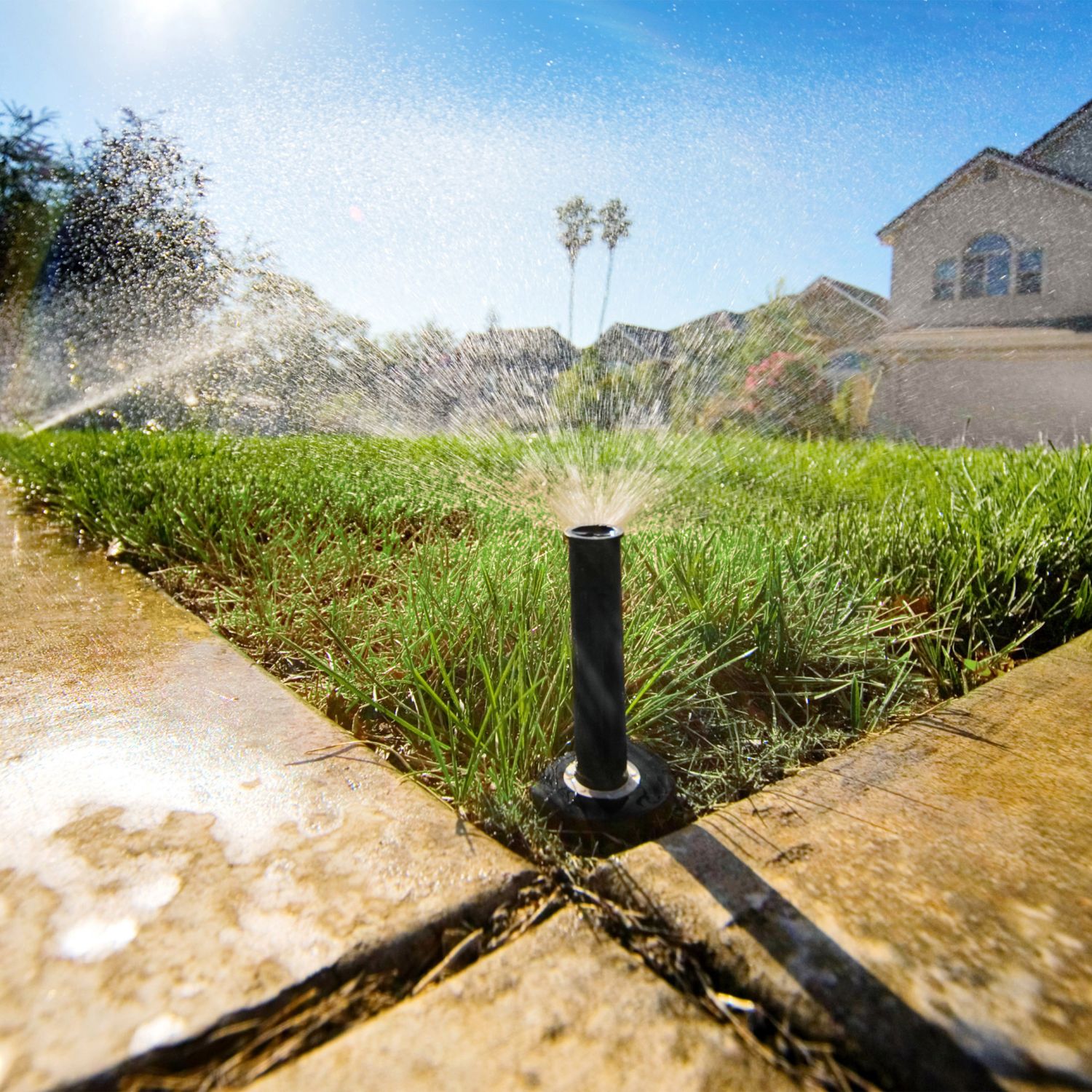 An example of a sprinkler system that's low to the ground, it's possible to DIY your own sprinkler system.