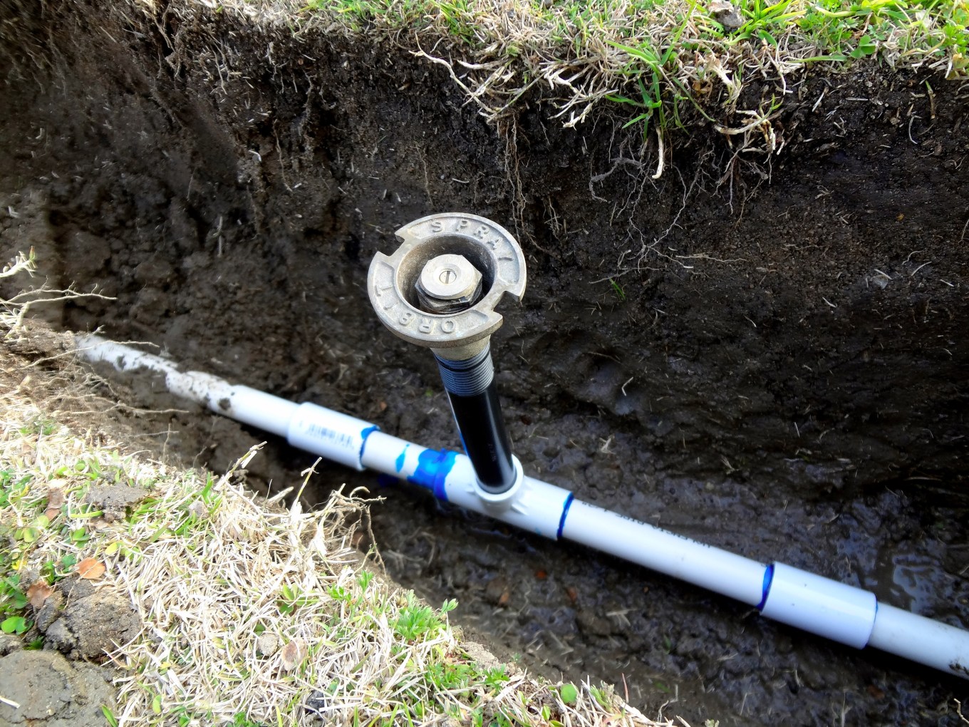 Sprinkler head in an open trench in the yard.