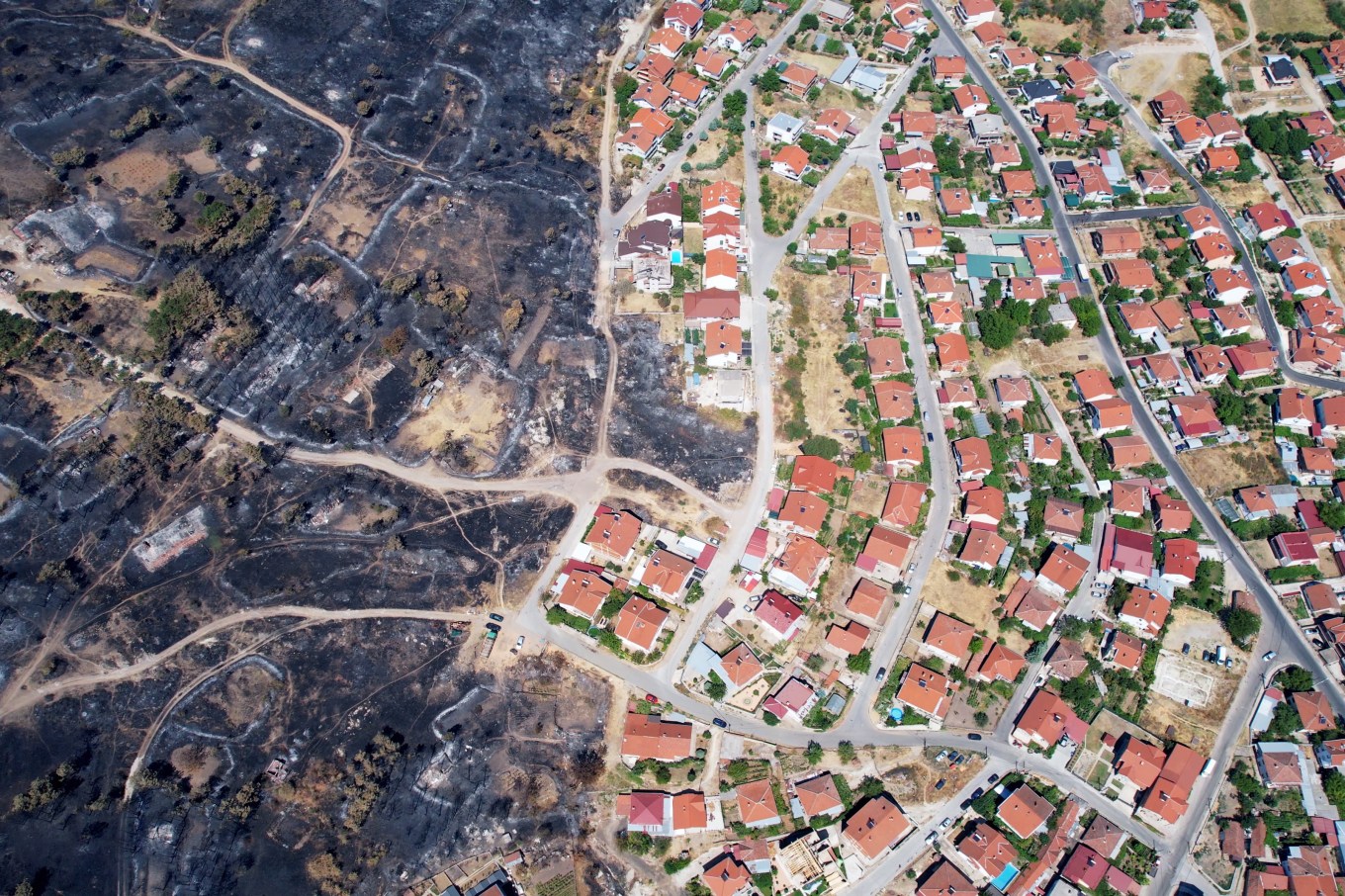 Overhead shot of the damage caused by a wildfire.