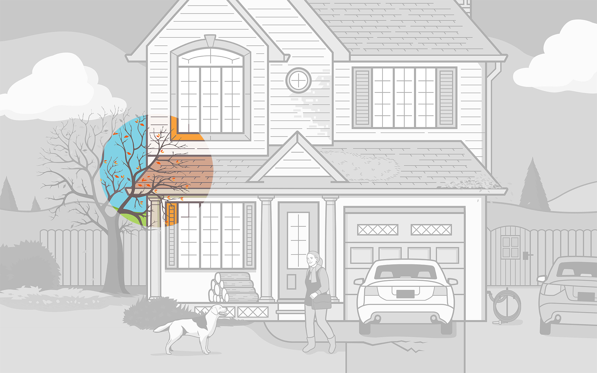 Tree limbs too close to the house let pests into the attic
