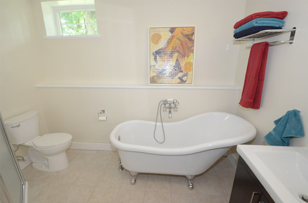 Bathroom shower in basement