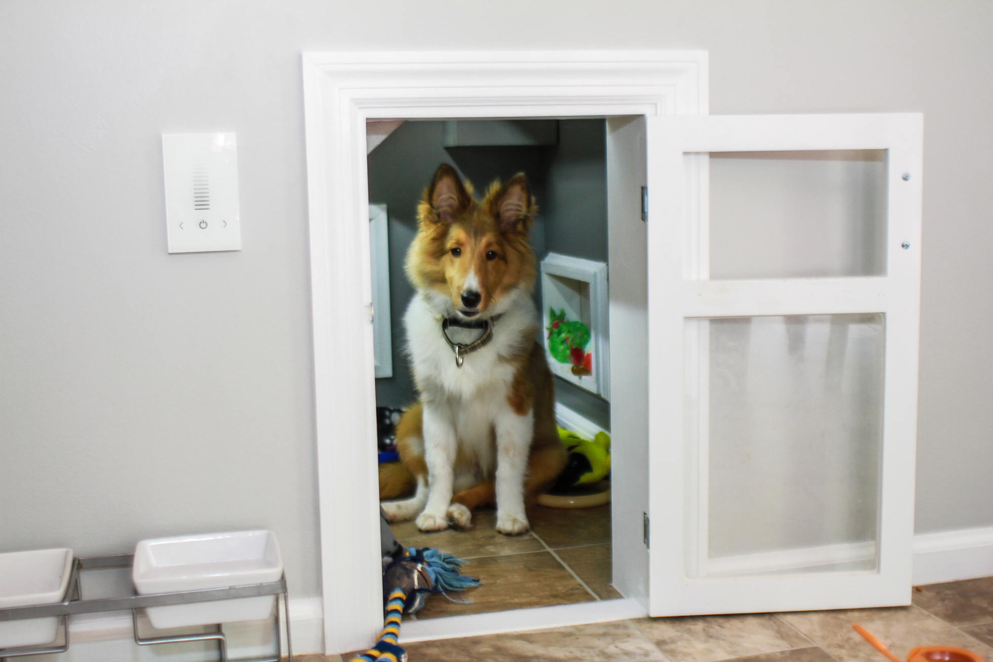 Sheltie dog sitting in a built-in dog house in a home