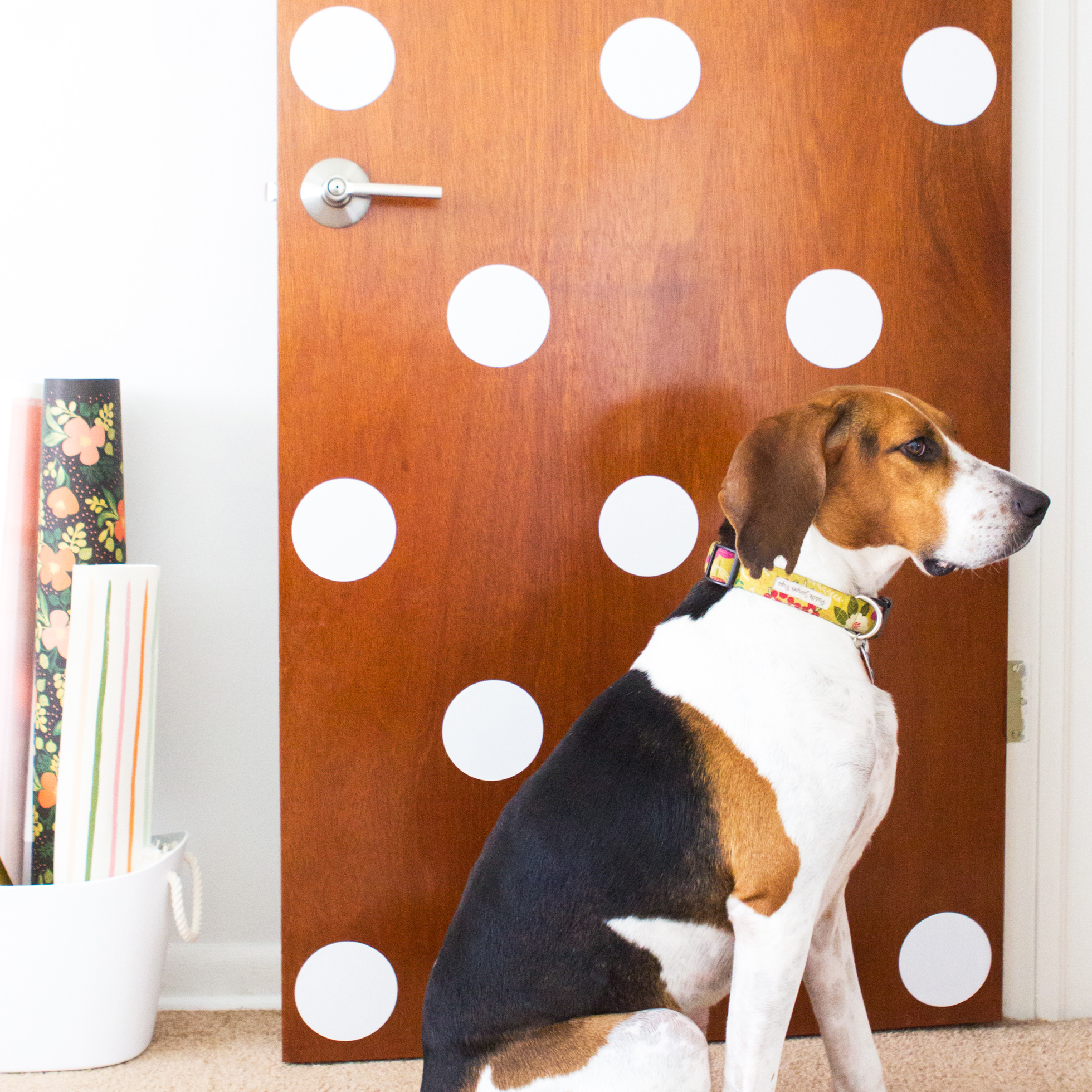 White polka dot decals on a wood door