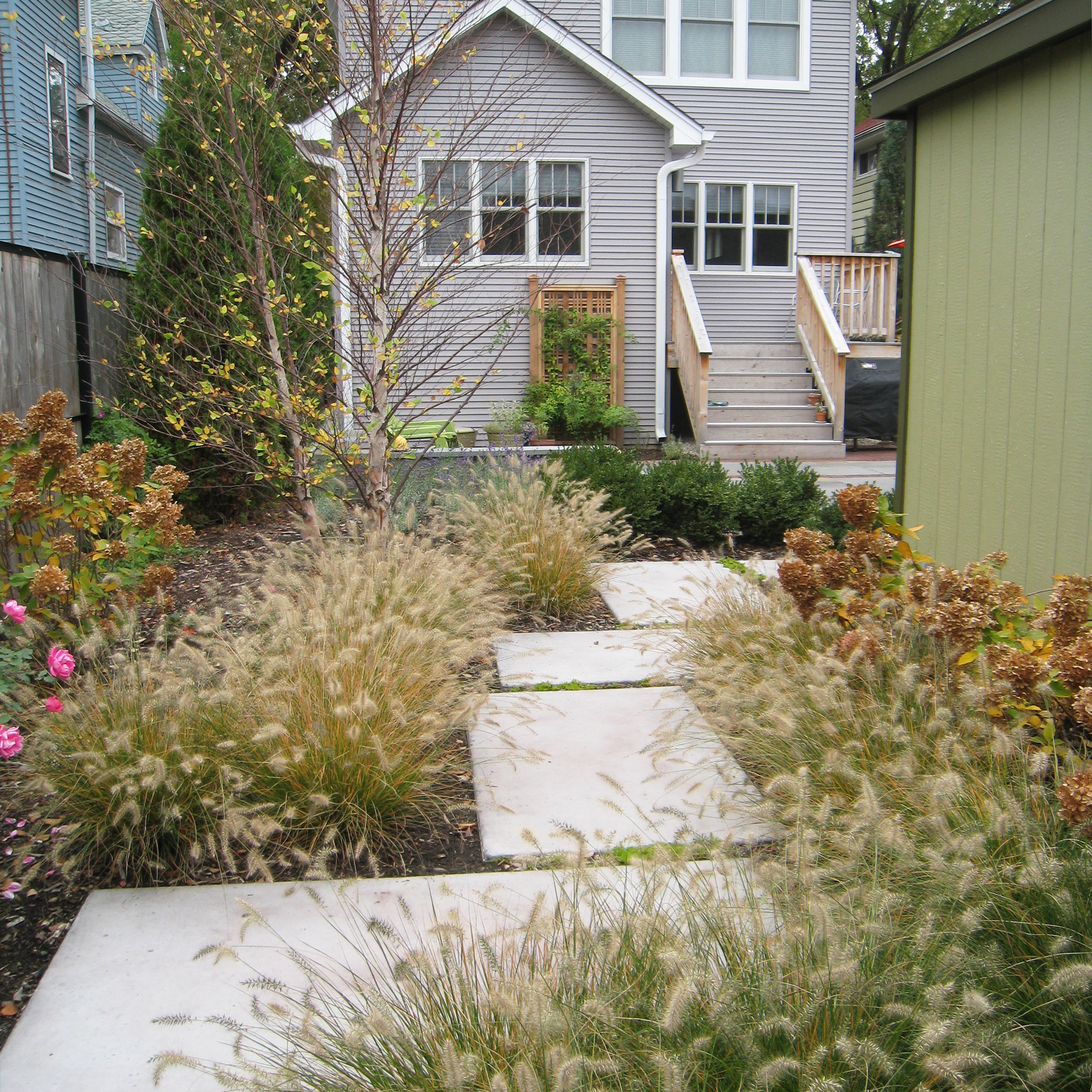Contemporary backyard patio and garden with tall grass