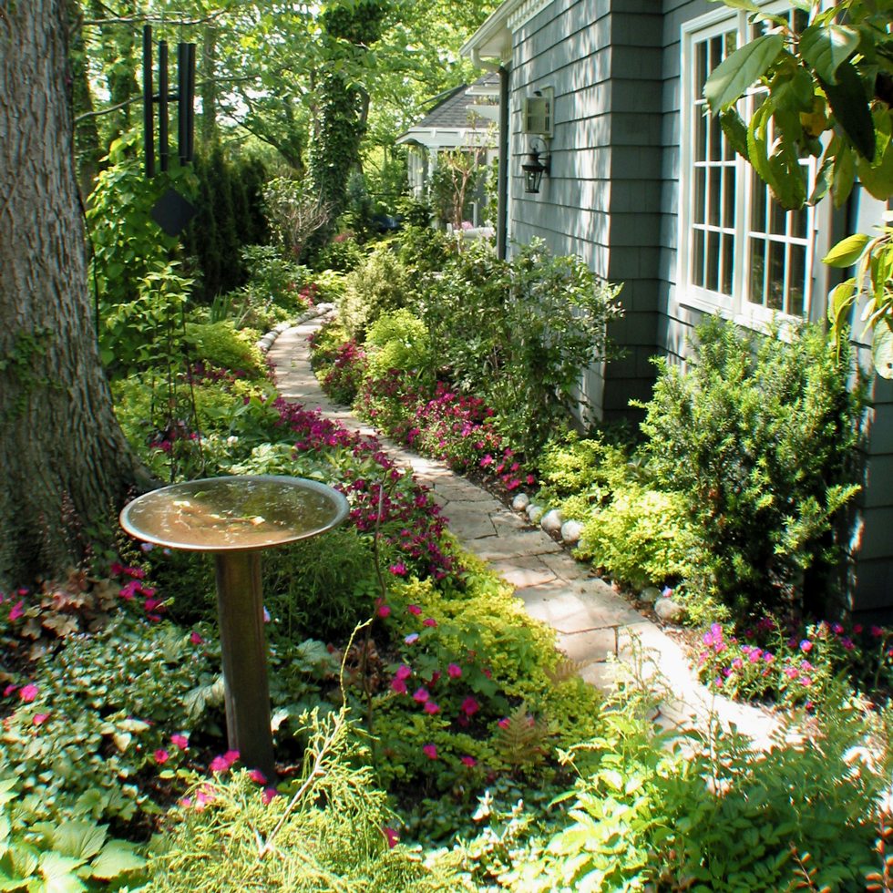Native habitat in a back yard with bird bath