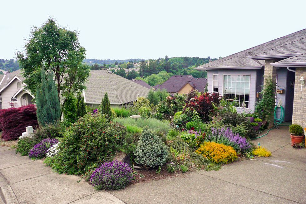Berm built in front yard