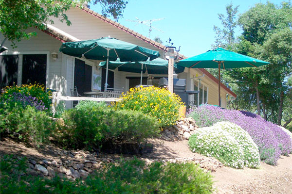 Fire-resistant plants
