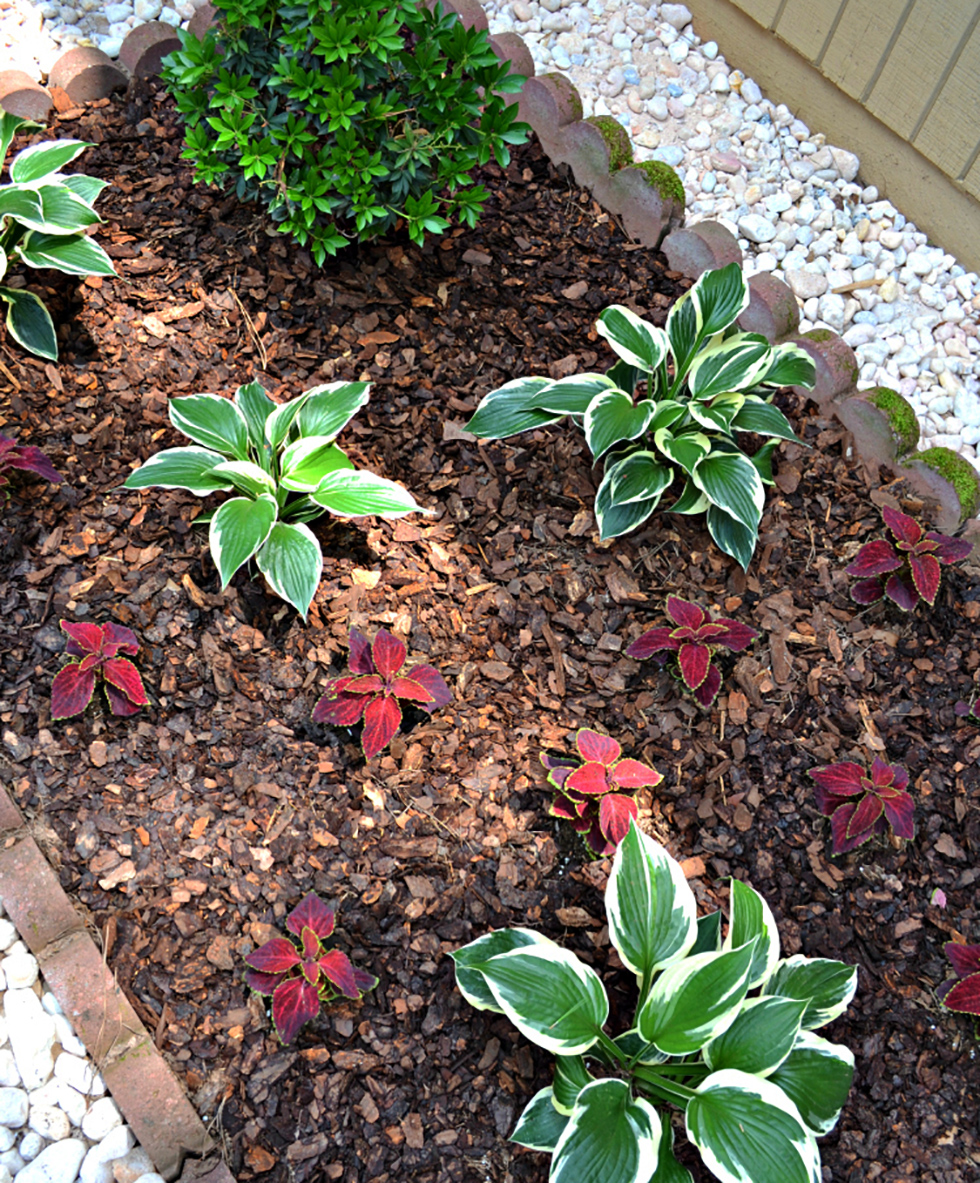 Gravel surrounding a mulched plant bed