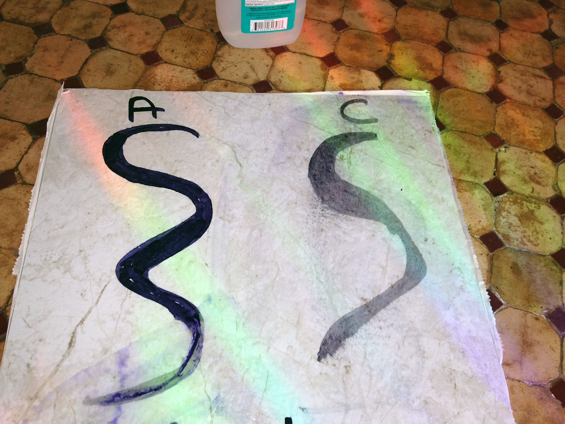 Ingredients for DIY floor cleaner test with alcohol