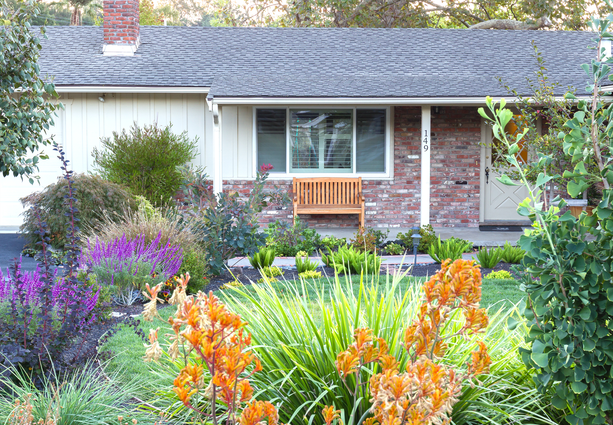 Flowers and trees in a front yard