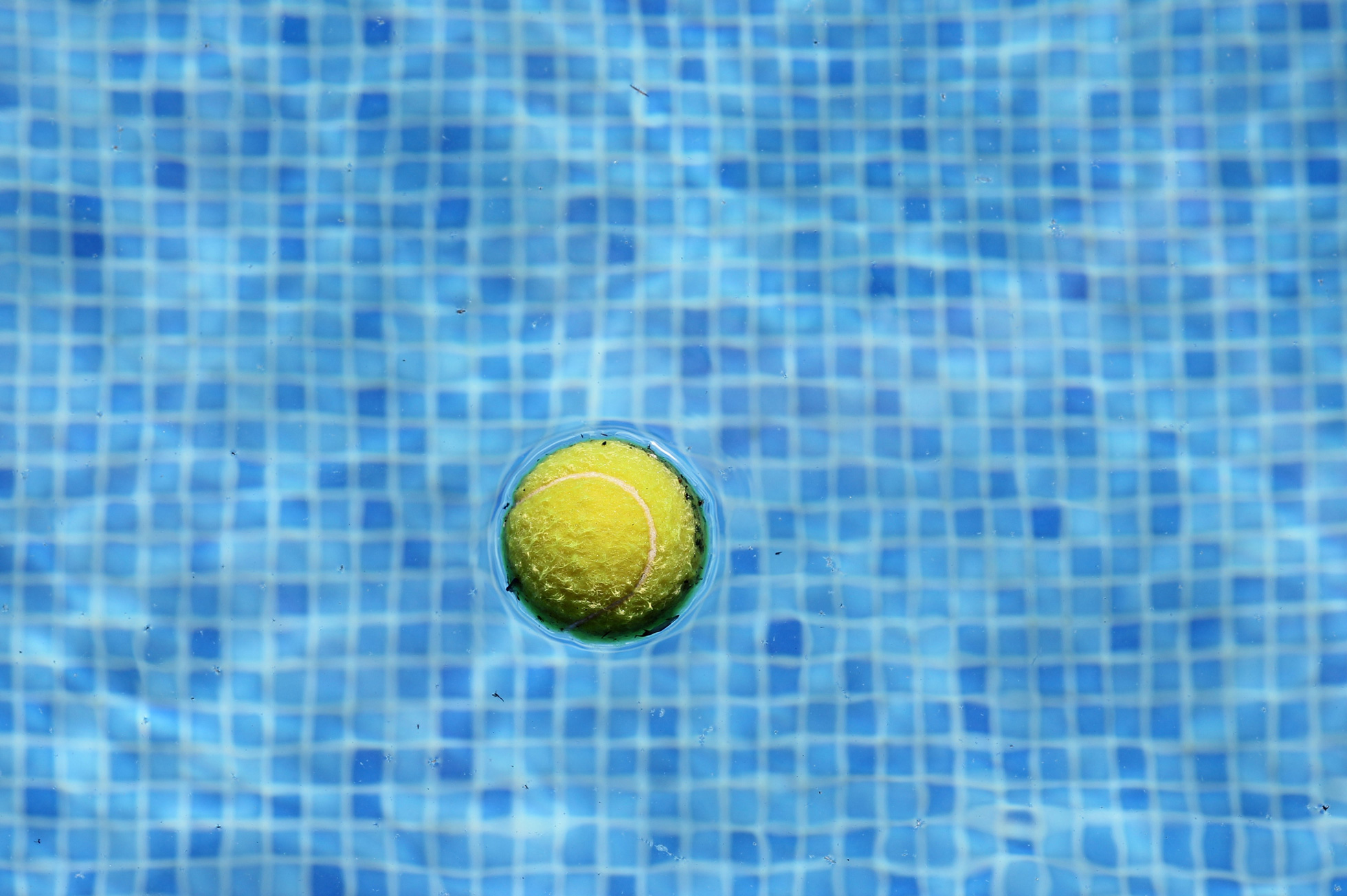 Tennis ball in a pool to help keep water clean