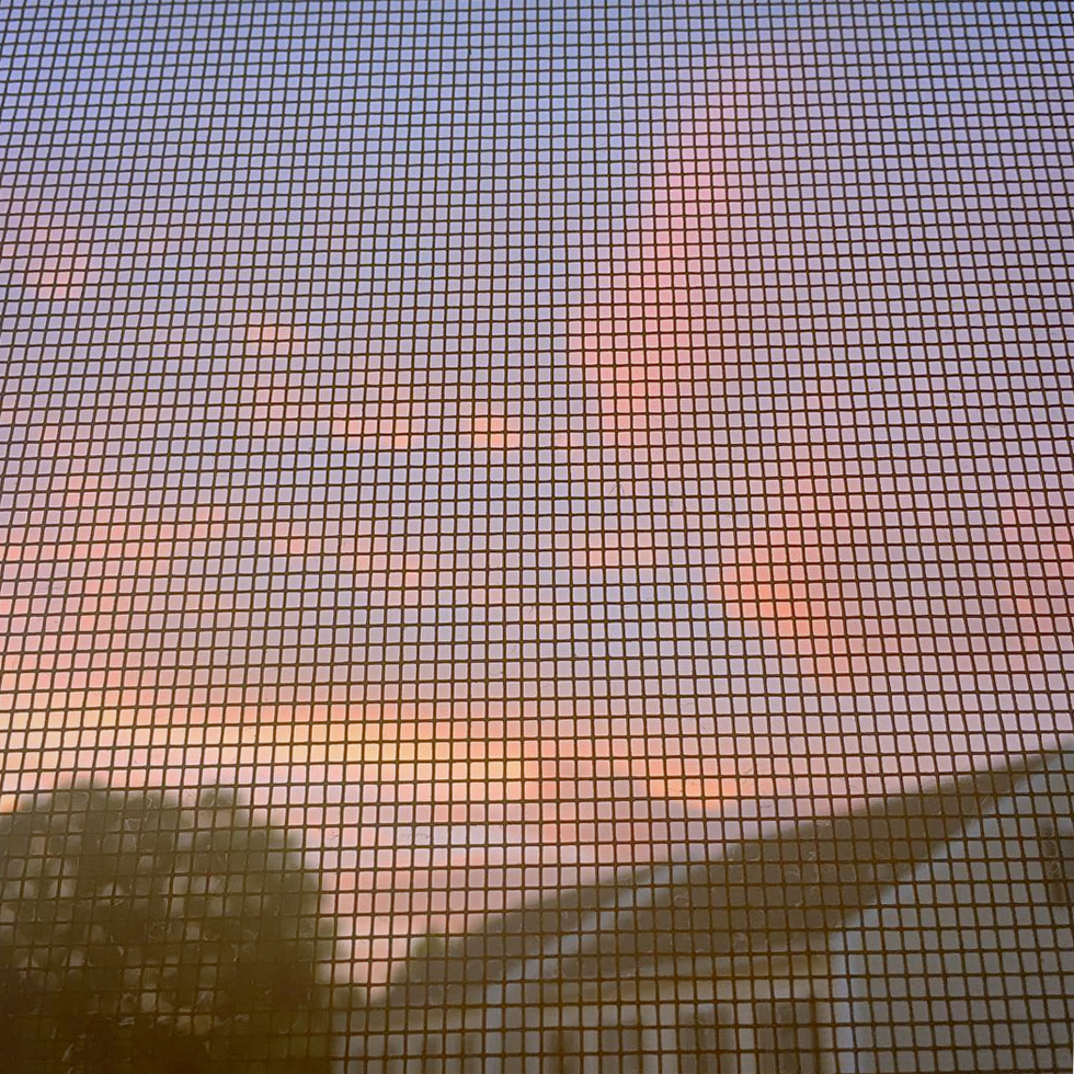 Looking through a window screen at sunset