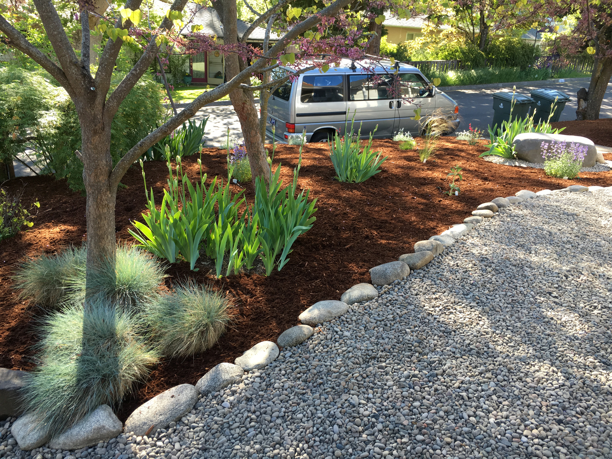 Nicely landscaped mulched front lawn