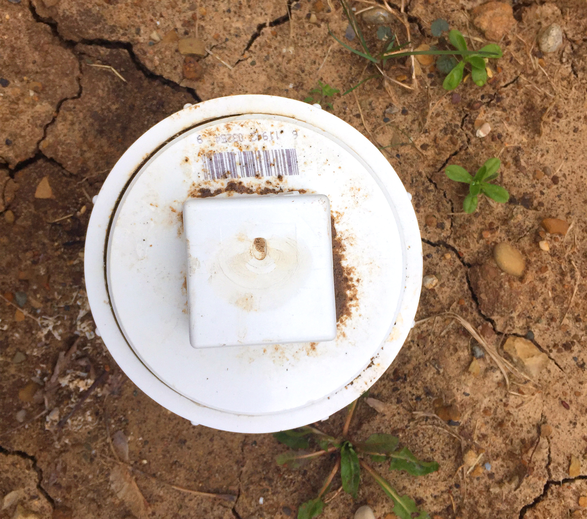 Sewer cleanout in a home yard