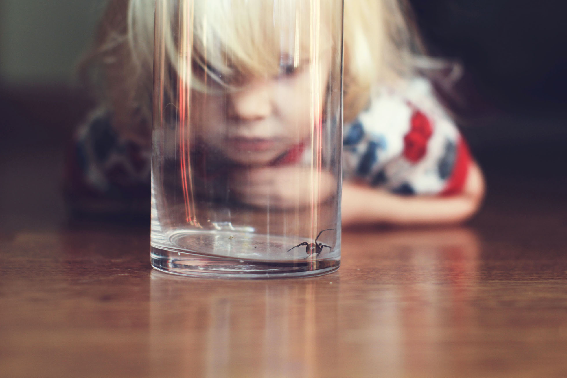 Girl looking at spider trapped under a glass at home
