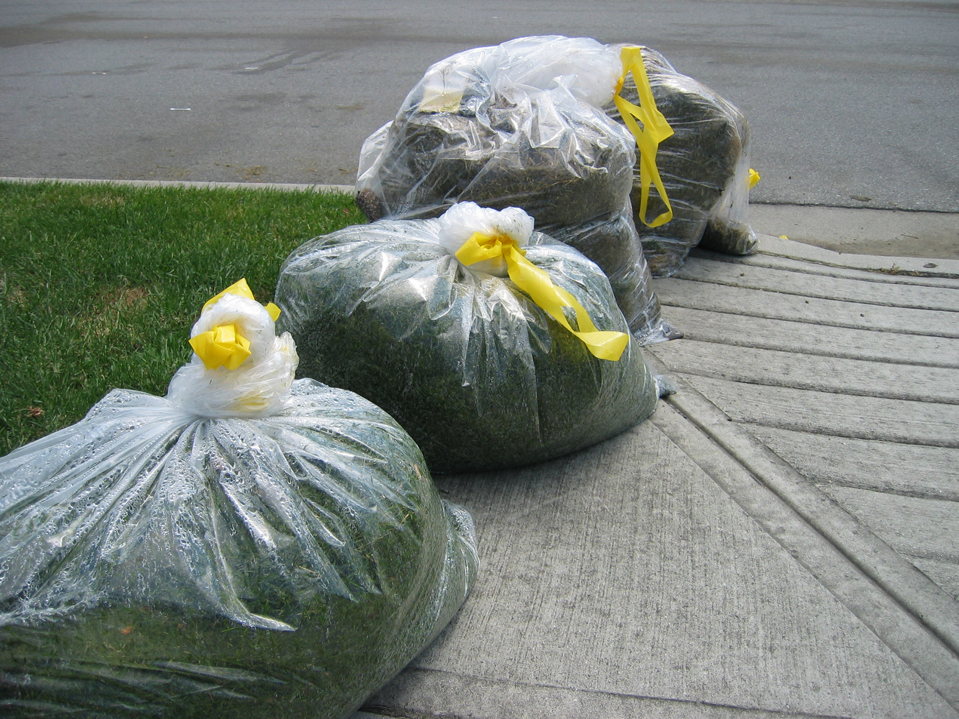 Four garbage bags full of lawn clippings on drive way