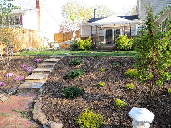 Dog-friendly xeriscaped back yard