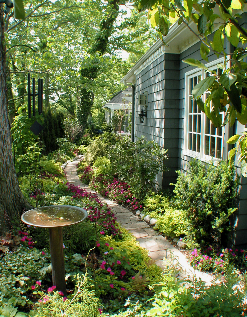 Native habitat in a back yard with bird bath
